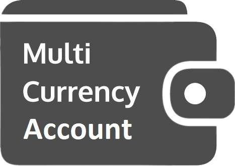 Multi-Currency Account